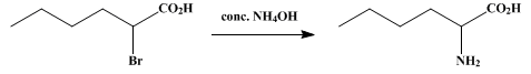 Reaction equation for α-AMINO-n-CAPROIC ACID (Norleucine)