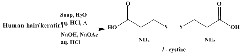 Reaction equation for l-CYSTINE