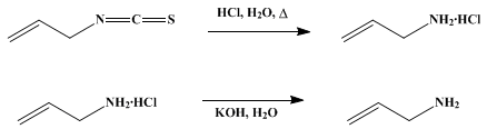 Reaction equation for ALLYLAMINE