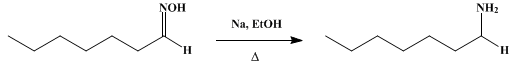 Reaction equation for n-HEPTYLAMINE