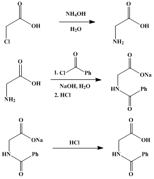 Reaction equation for HIPPURIC ACID
