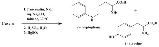 Reaction equation for l-TRYPTOPHANE (By-product, l-Tyrosine)