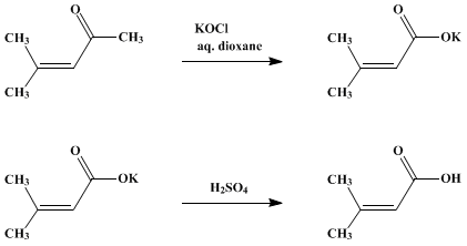 Reaction equation for β,β-DIMETHYLACRYLIC ACID (Senecioic acid)