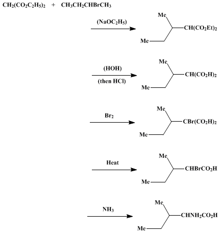 Reaction equation for dl-ISOLEUCINE (α-Amino-β-methylvaleric acid)