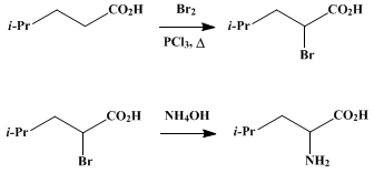 Reaction equation for dl-LEUCINE (Isocaproic acid, α-amino)