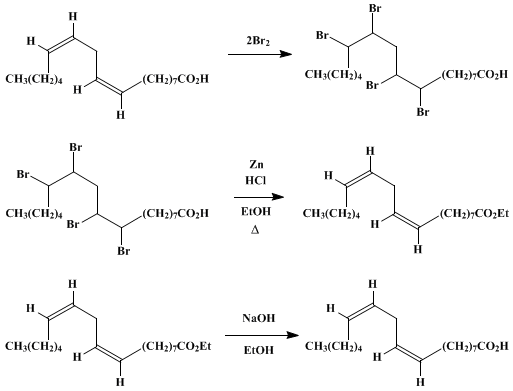 Reaction equation for LINOLEIC ACID