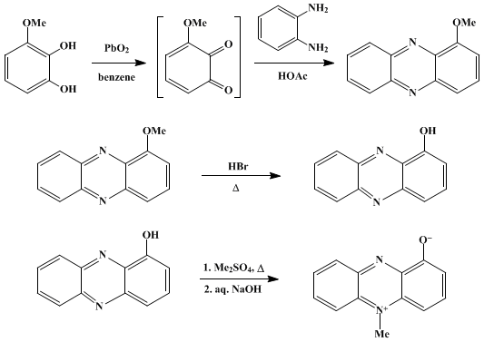 Reaction equation for PYOCYANINE
