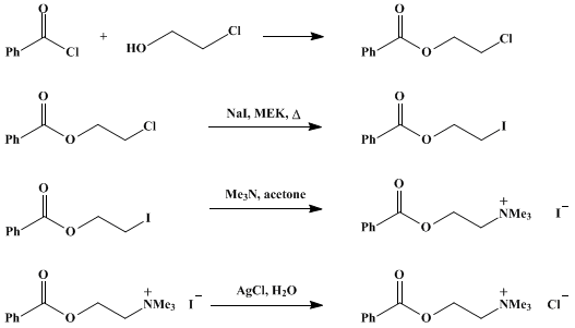 Reaction equation for BENZOYLCHOLINE IODIDE AND CHLORIDE (Choline, chloride benzoate, and Choline, iodide benzoate)
