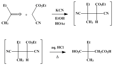 Reaction equation for α-ETHYL-α-METHYLSUCCINIC ACID (Succinic acid, α-ethyl-α-methyl-)