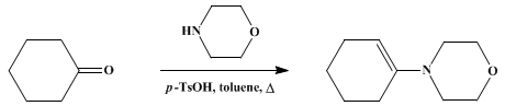 Reaction equation for 1-MORPHOLINO-1-CYCLOHEXENE (Morpholine, 4-(1-cyclohexenyl)-)