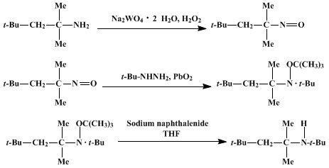 Reaction equation for tert-BUTYL-tert-OCTYLAMINE (2-Pentanamine, N-(1,1-dimethylethyl)-2,4,4-trimethyl-)