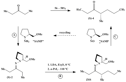 Reaction equation for ASYMMETRIC SYNTHESES USING THE SAMP-/RAMP-HYDRAZONE METHOD: (S)-(+)-4-METHYL-3-HEPTANONE (3-Heptanone, 4-methyl, (S)-)