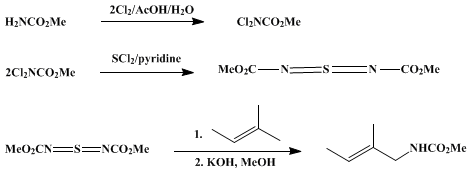 Reaction equation for ALLYLCARBAMATES BY THE AZA-ENE REACTION: METHYL N-(2-METHYL-2-BUTENYL)CARBAMATE (Carbamic acid, (2-methyl-2-butenyl)-, methyl ester)