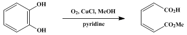 Reaction equation for OXIDATIVE CLEAVAGE OF AN AROMATIC RING: cis,cis-MONOMETHYL MUCONATE FROM 1,2-DIHYDROXYBENZENE (2,4-Hexadienedioic acid, monomethyl ester, (Z,Z)-)