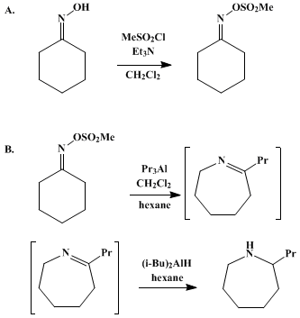 Reaction equation for 2-PROPYL-1-AZACYCLOHEPTANE FROM CYCLOHEXANONE OXIME (1H-Azepine, hexahydro-2-propyl-, (±)-)