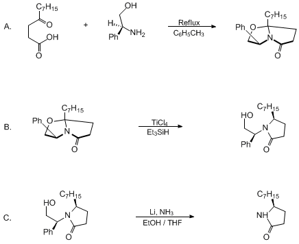 Reaction equation for S-(−)-5-HEPTYL-2-PYRROLIDINONE. CHIRAL BICYCLIC LACTAMS AS TEMPLATES FOR PYRROLIDINES AND PYRROLIDINONES (2-Pyrrolidinone, 5-heptyl-, (S)-)