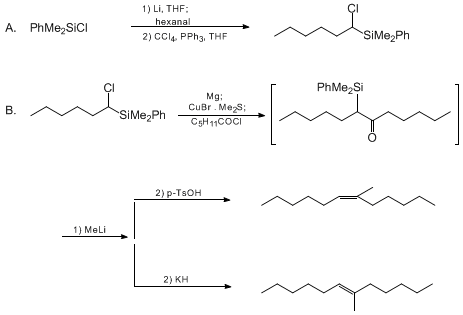 Reaction equation for STEREOSELECTIVE ALKENE SYNTHESIS via 1-CHLORO-1-[(DIMETHYL)PHENYLSILYL]ALKANES AND α-(DIMETHYL)PHENYLSILYL KETONES: 6-METHYL-6-DODECENE