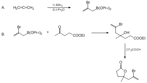 Reaction equation for SYNTHESIS OF 4-(2-BROMO-2-PROPENYL)-4-METHYL-γ-BUTYROLACTONE BY THE REACTION OF ETHYL LEVULINATE WITH (2-BROMOALLYL)DIISOPROPOXYBORANE PREPARED BY HALOBORATION OF ALLENE (2(3H)-Furanone, 5-(2-bromo-2-propenyl)dihydro-5-methyl-)
