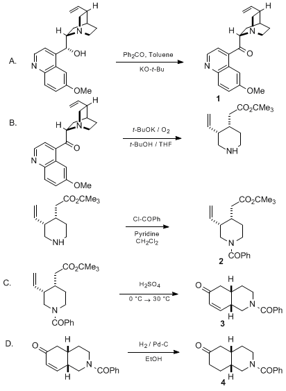 Reaction equation for SYNTHESIS OF cis-4a(S),8a(R)-PERHYDRO-6(2H)-ISOQUINOLINONES FROM QUININE: 4a(S), 8a(R)-2-BENZOYLOCTAHYDRO-6(2H)-ISOQUINOLINONE (6(2H)-Isoquinolinone, 2-benzoyloctahydro-, (4aS-cis)-)