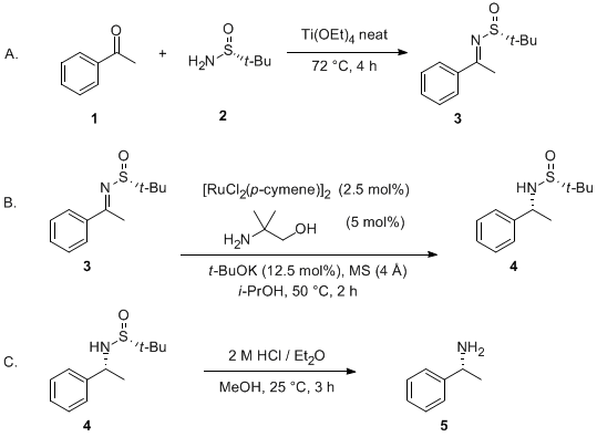 Reaction equation for Synthesis of Highly Enantiomerically Enriched Amines by Asymmetric Transfer Hydrogenation of N-(tert-Butylsulfinyl)Imines